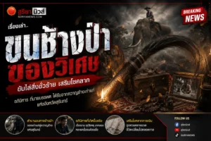 ตำนานขนหางช้าง วิถีชีวิตควาญช้างสุรินทร์ และความเชื่อที่ส่งต่อจากรุ่นสู่รุ่น