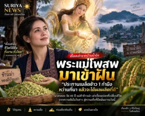 พระแม่โพสพเข้าฝัน ฝันเห็นพระแม่โพสพ ประทานเมล็ดข้าว 1 กำมือ พลิกผืนนาและชีวิตแม่ค้าข้าวเม่า