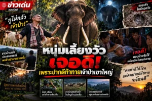 ท้าทายเจ้าป่าเลยเจอดี หนุ่มเลี้ยงวัวเจอดี เพราะปากดีท้าทายเจ้าป่าเขาใหญ่