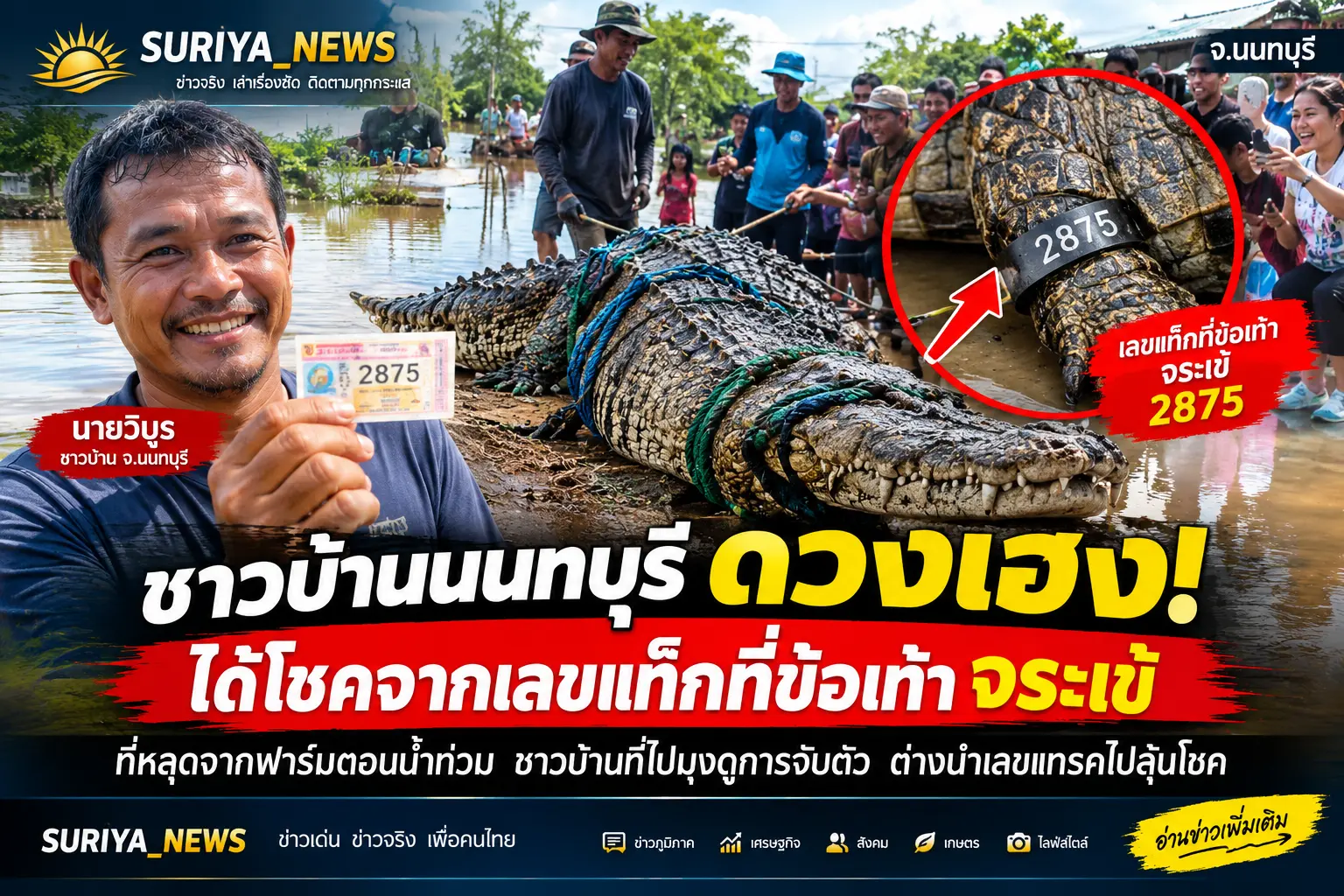 จระเข้หลุดให้โชค